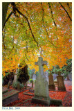 20091101-5D-029_30_31v Custom.jpg