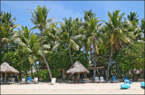 Castaway Island, Fiji
