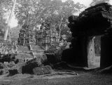 DSC04343.jpg