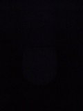 DSC01243.JPG