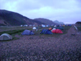 DSC01244.JPG