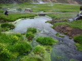 DSC01253.JPG