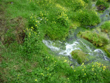 DSC01254.JPG