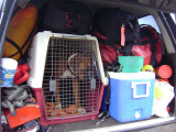 DSC01266.JPG