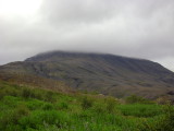 DSC01375.JPG