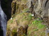 DSC01426.JPG