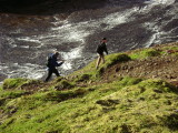 DSC01441.JPG