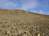 DSC01457.JPG