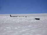 DSC01650.JPG