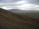 DSC01777.JPG