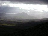 DSC01779.JPG
