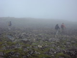 DSC01813.JPG