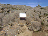 DSC02838.JPG