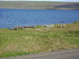 DSC02875.JPG