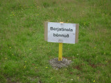 DSC03021.JPG