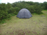 DSC03061.JPG