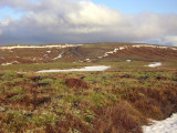 DSC04957.JPG