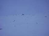 DSC05614.JPG