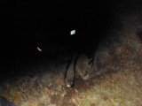 DSC00529.JPG