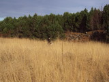 DSC00682.JPG