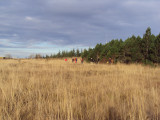 DSC00683.JPG