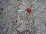 DSC00741.JPG