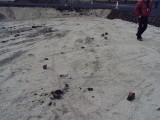 DSC00746.JPG