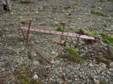 DSC09613.JPG