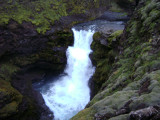 DSC00125.JPG