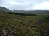 DSC00489.JPG
