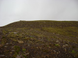 DSC00497.JPG