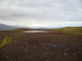 DSC00546.JPG