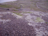DSC00621.JPG