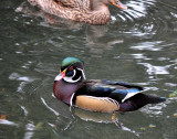 DSC_0046_edited-1.jpg