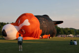 Balloon Festival (245)