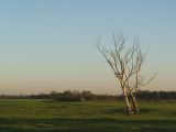 Polder Schieveen