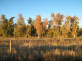 IMG_0461.JPG