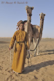 My Camel