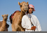 My Camel