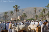 Eid live stock market in Rustaq