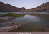 Wadi Arabieen