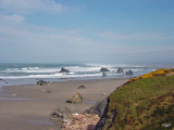 Harris Creek Beach, Brookings, OR