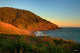 Humbug Mountain, Hwy 101 OR