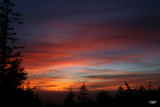 Oregon Sunset