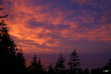 Gold Beach, OR