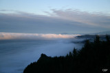 Gold Beach, OR Fog Bank