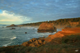 Otter Point State Park, OR