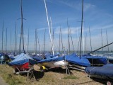 masts2