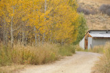 our country driveway in autumn 2008 _DSC9951.jpg