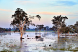 Photo of the Day- 26th June 2011At Digitalimagecafe.comScenic Category